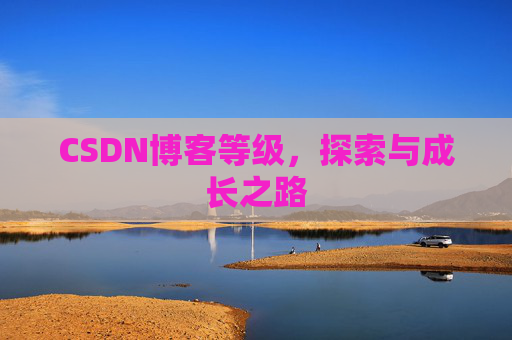 CSDN博客等级，探索与成长之路